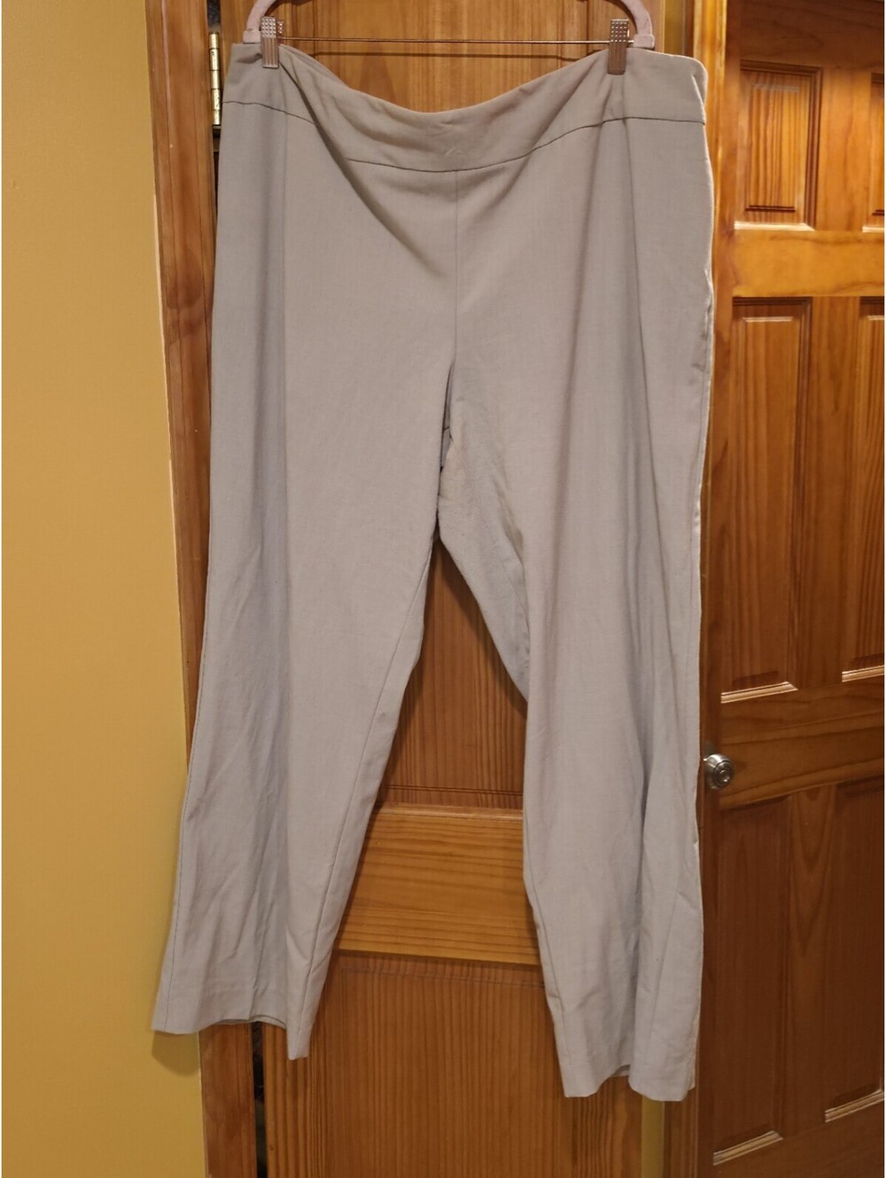 Roz & Ali Beige Dress Pants Stretch Pull On Trousers Plus Sz 22